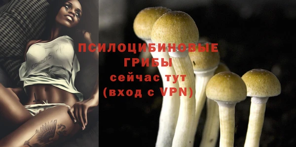 стафф Алзамай