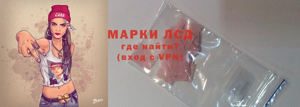 стафф Алзамай