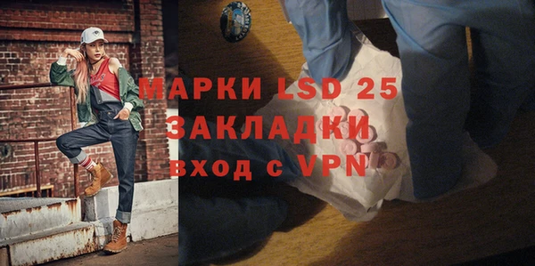 стафф Алзамай