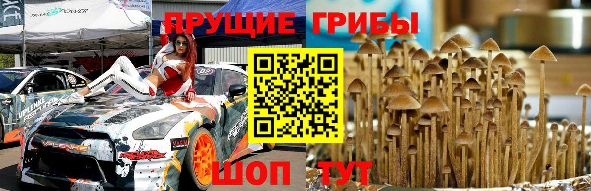 Галлюциногенные грибы прущие грибы  Вход с VPN  Галлюциногенные грибы мухоморы  Апшеронск 